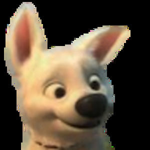 Meet your Posher, Em